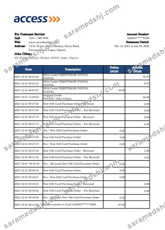 Nigeria Access bank statement